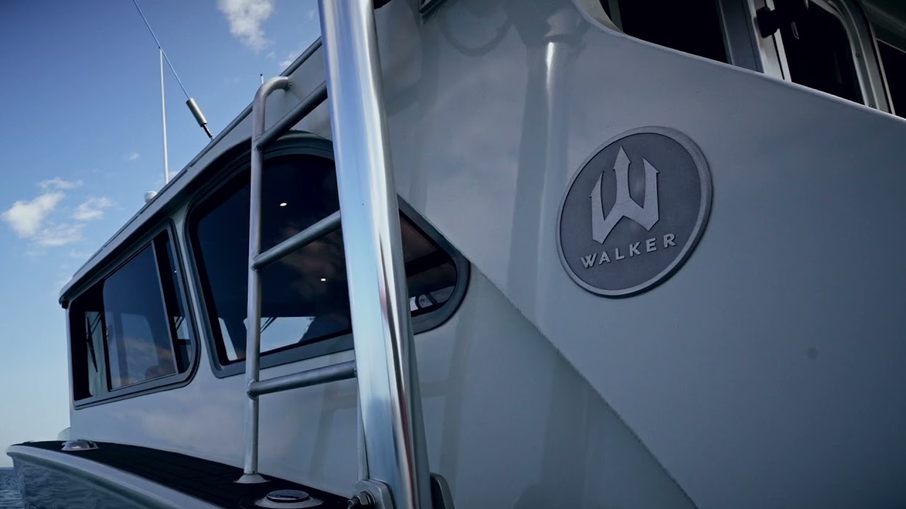 M31 Pro Sport