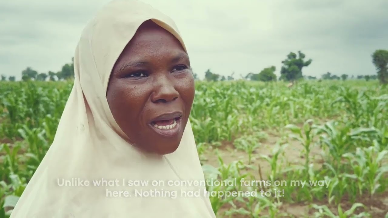 Documentary on Adamawa Agriculture Regenerative