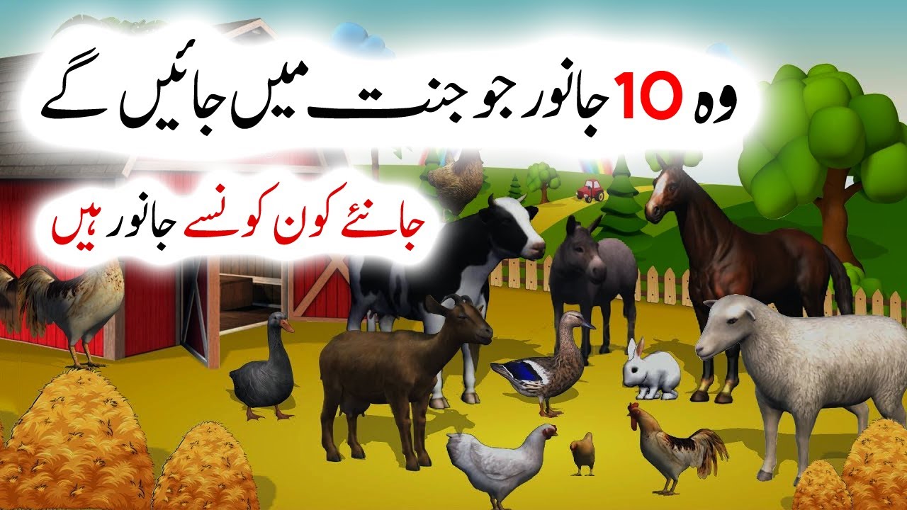 Wo 10 Janwar jo jannat mein jayenge / Animals / Daily Jameel