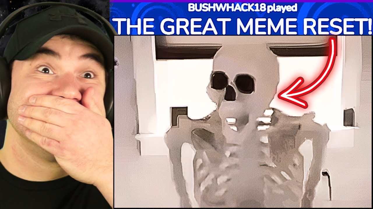 My Viewers Meme Timing Will Reset Your Brain! #307