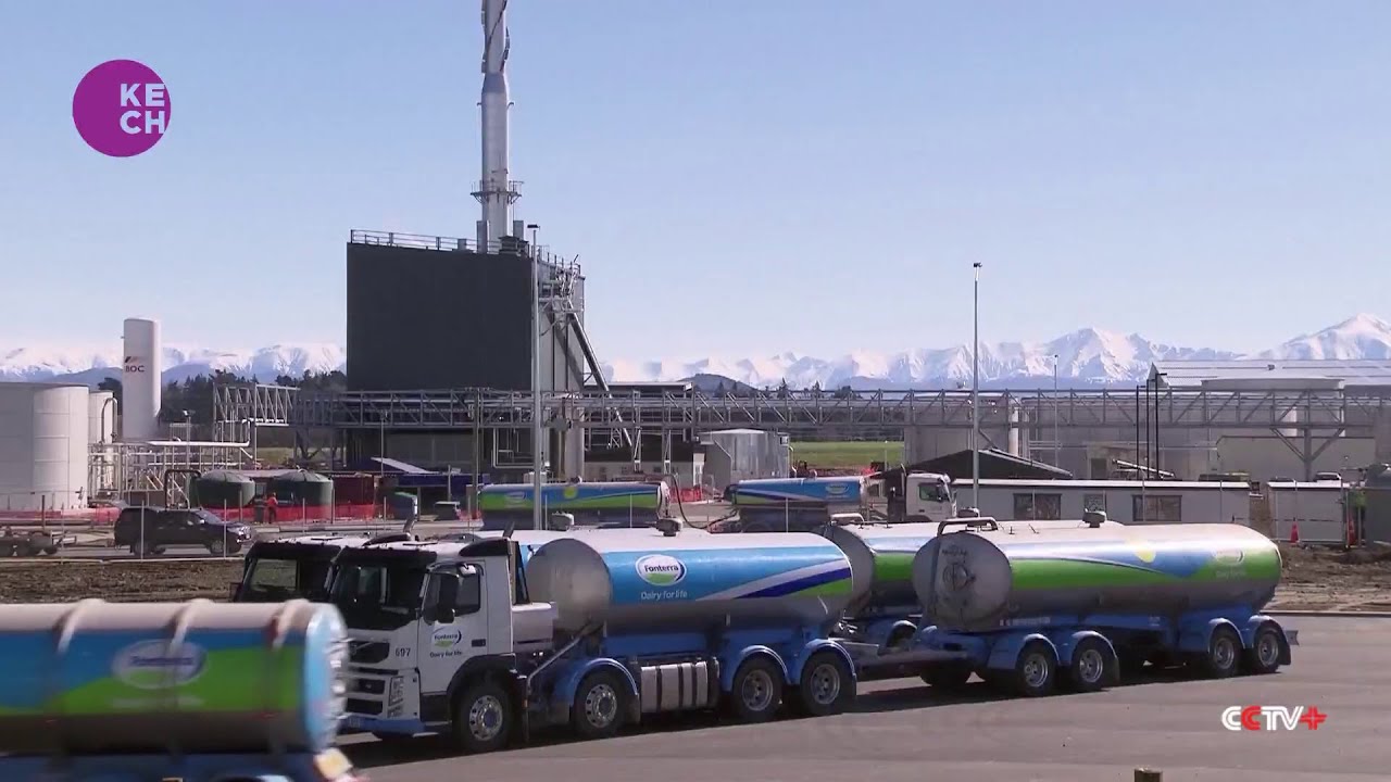 New Zealand taps into China's thirst for dairy products