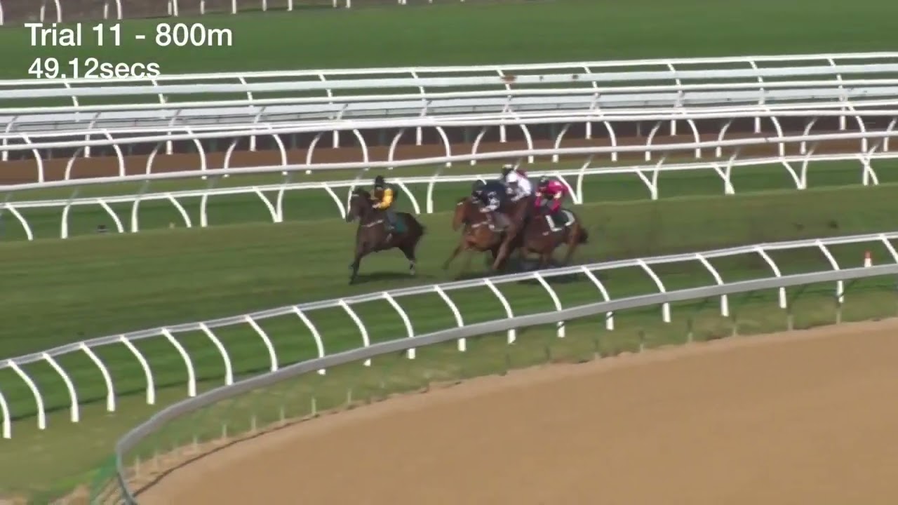Flemington Jumpouts | 12 September 2014 | Heat 11