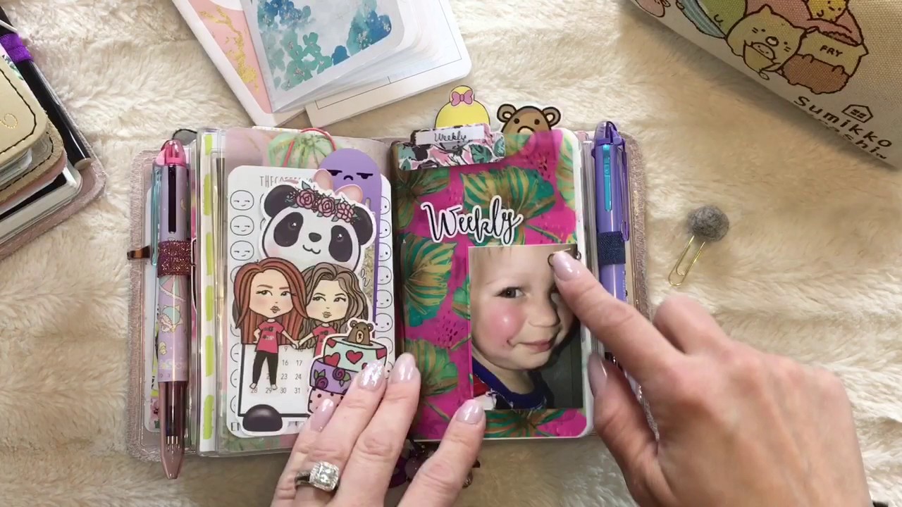 Foxy Fix || Pocket wide June 17' Setup
