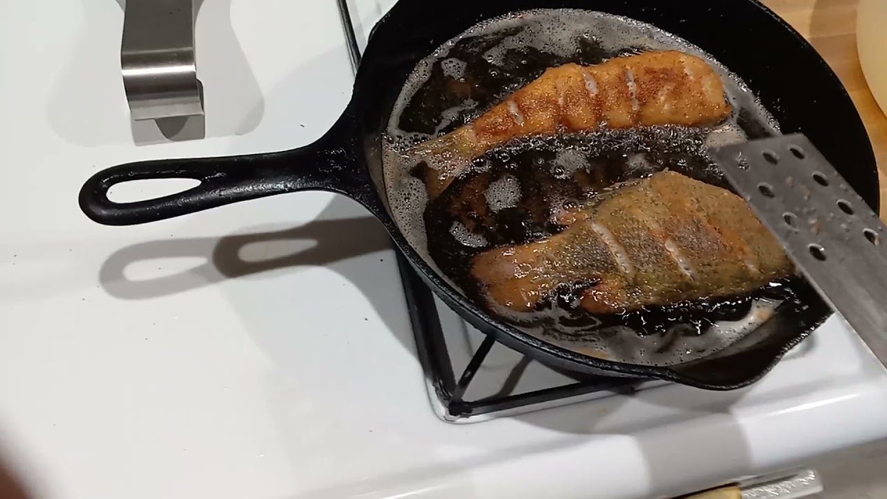 Fried Yellow Perch and Rock Bass