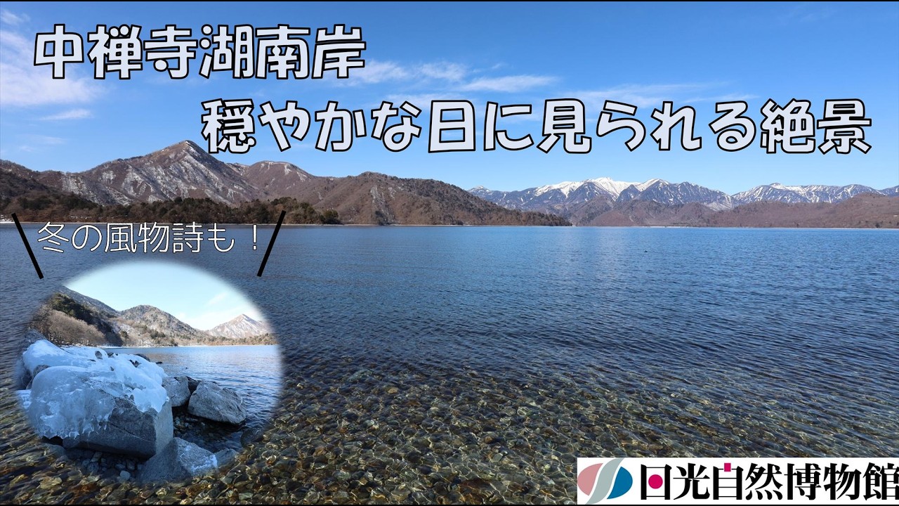 減水の中禅寺湖南岸・冬終盤の穏やかな日に見られる絶景としぶき氷＜2026年2月18日＞【奥日光自然情報】