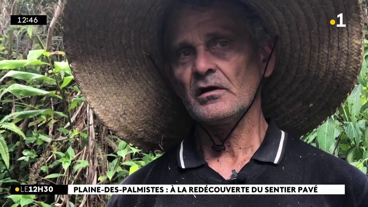 A La Plaine-des-Palmistes, le sentier pavé entre le village et Saint-Benoît retrouve vie.