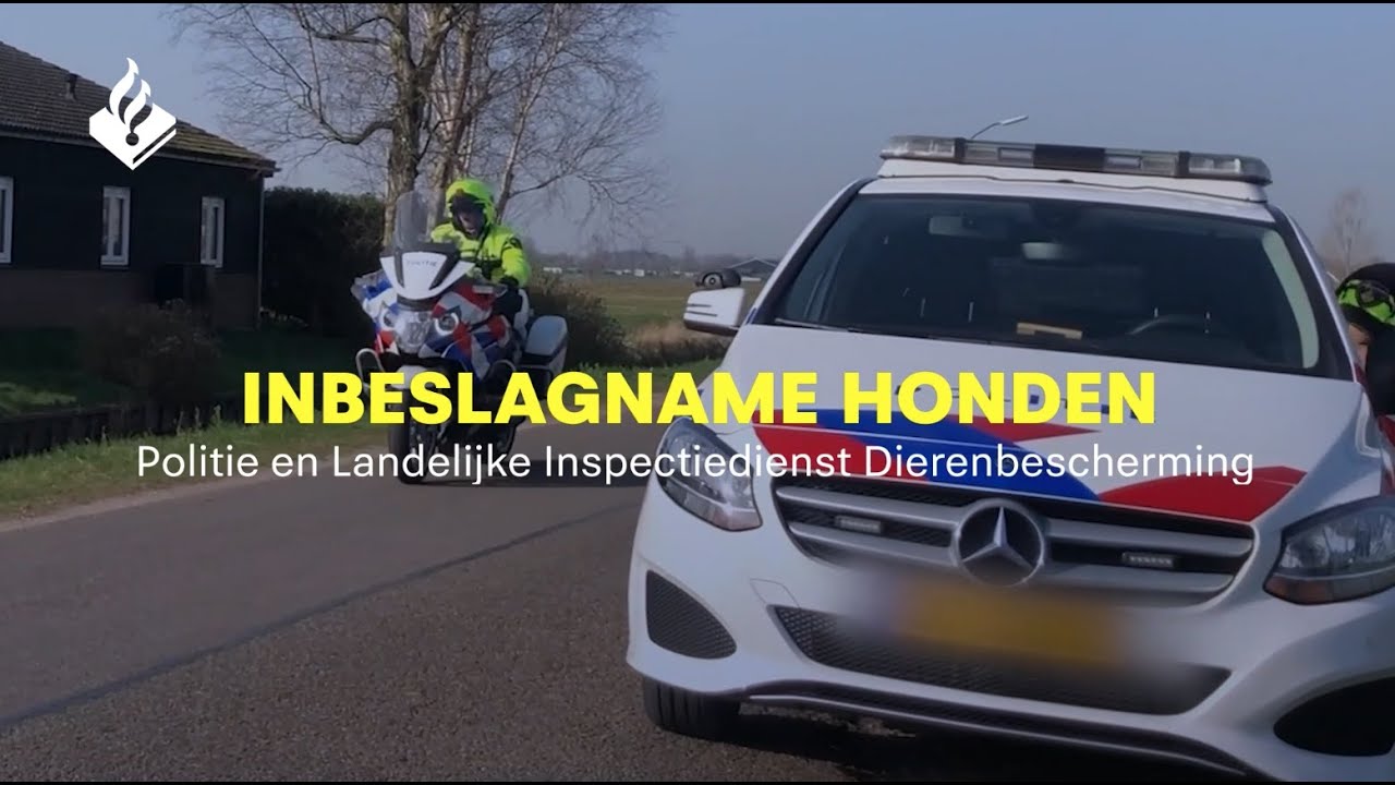 Groot aantal labradors aangetroffen in Tienhoven