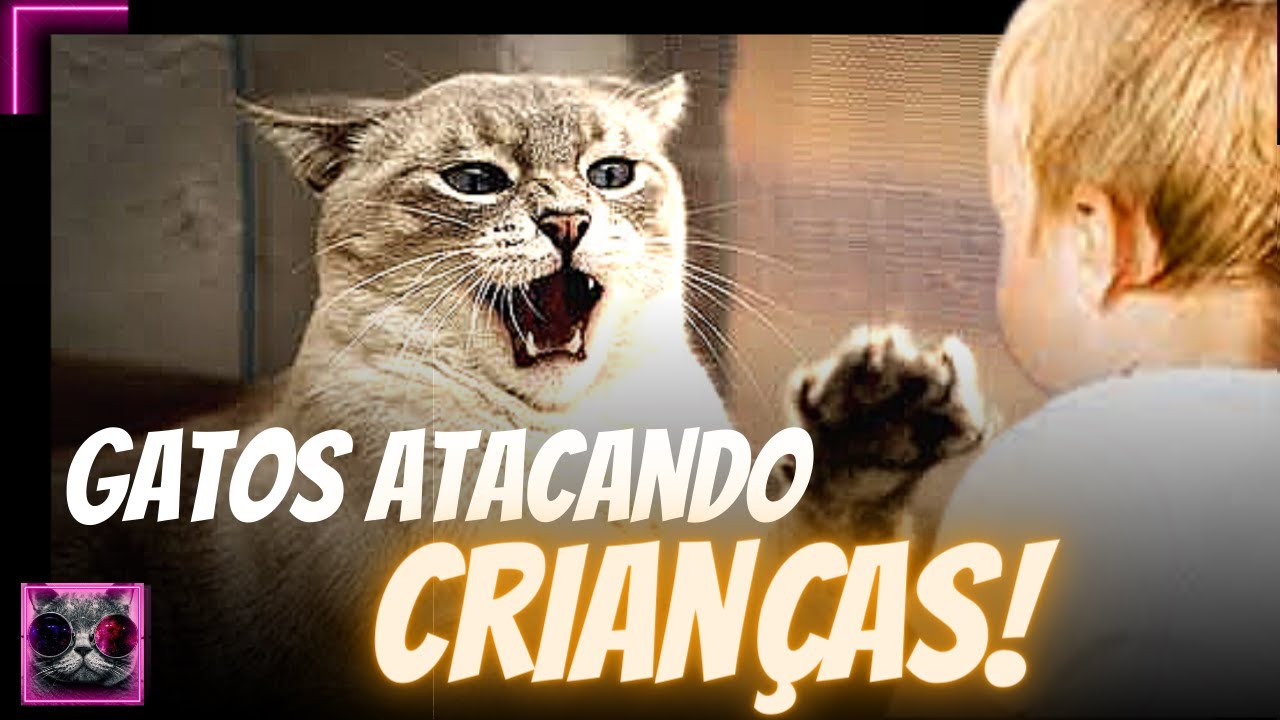 GATOS ATACANDO CRIAN&Ccedil;AS! - Cats Attacking Children!