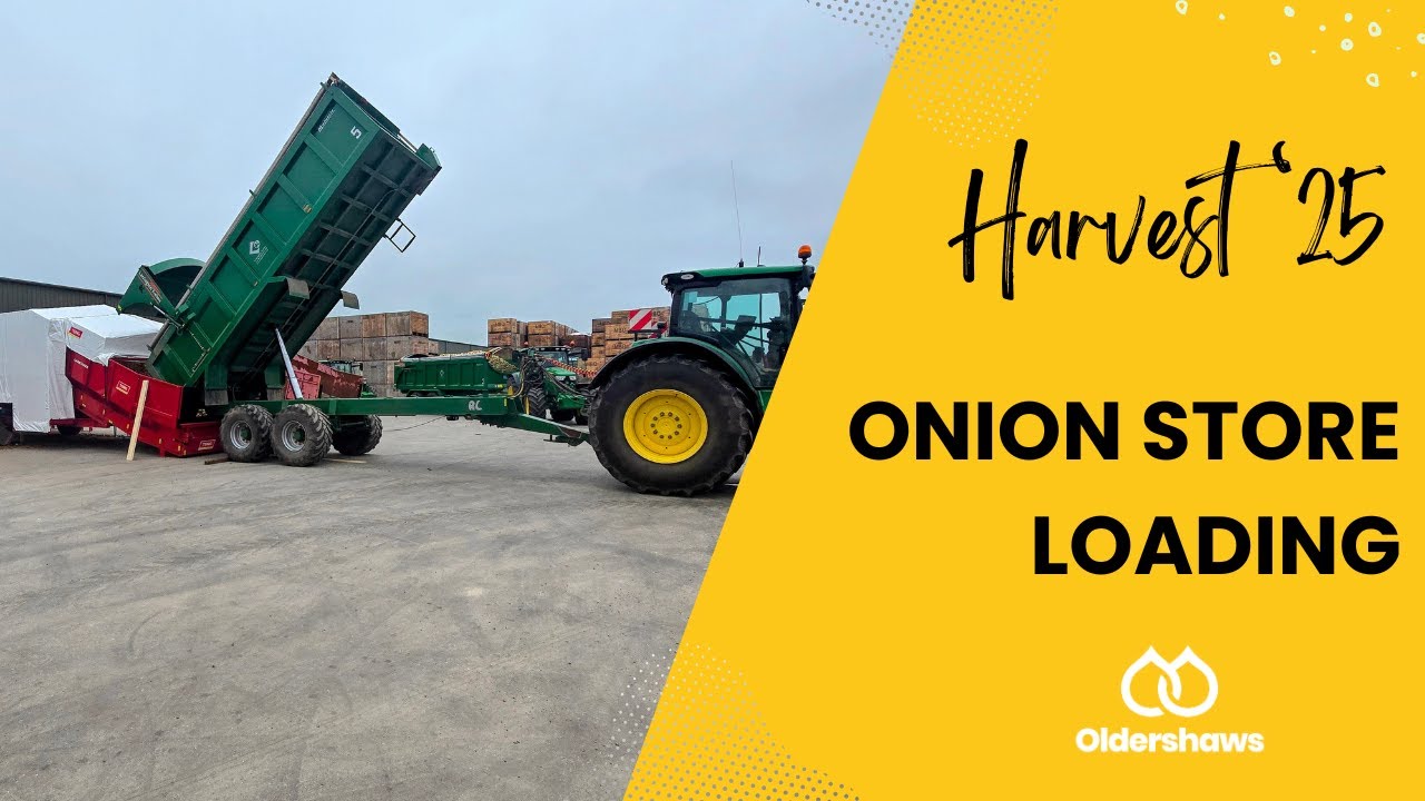 Onion Store Loading