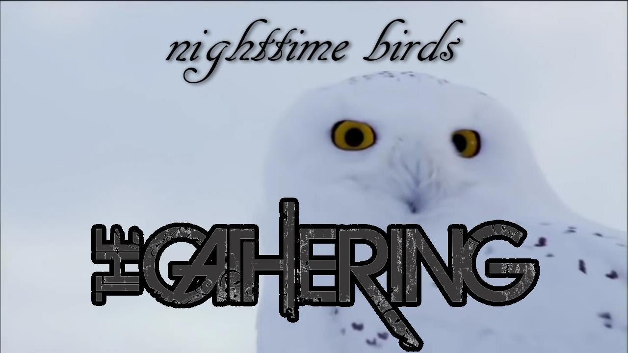 The Gathering -  Nighttime Birds