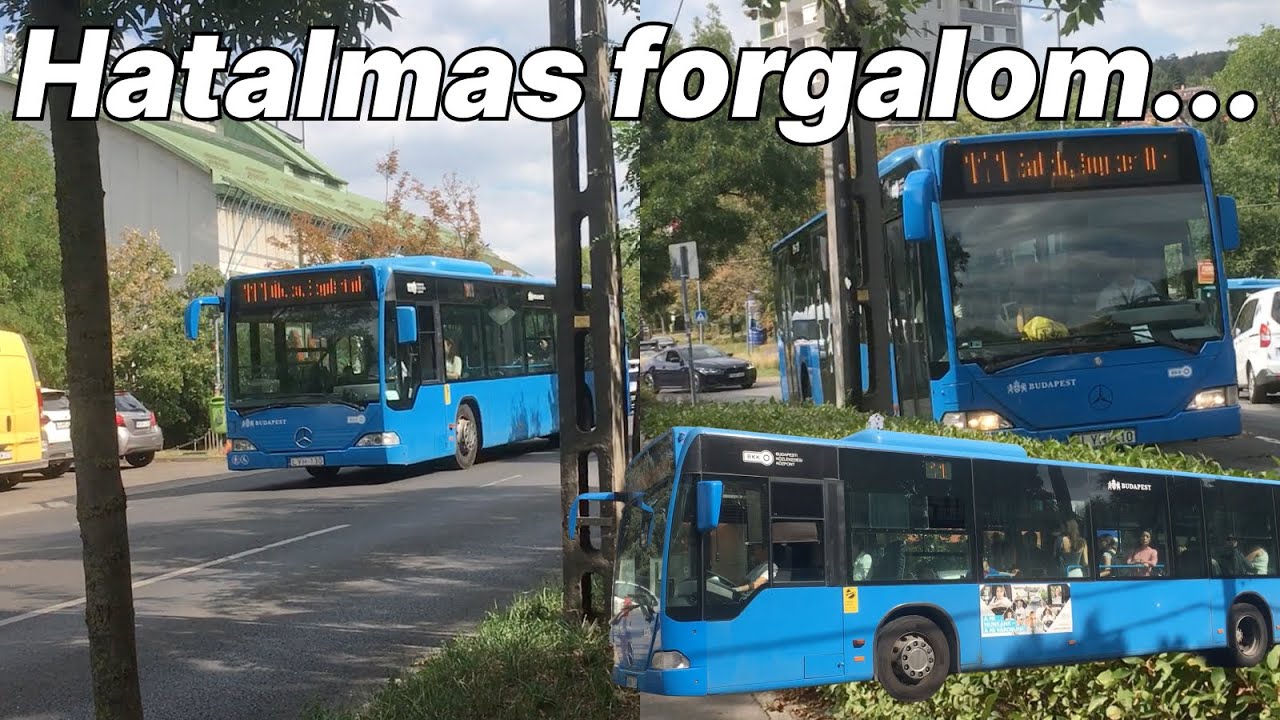 Citarok áradata a 11 és a 111 esen