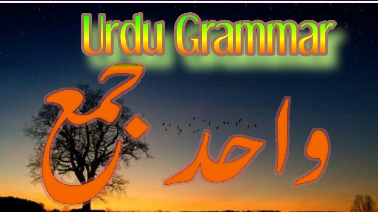 Urdu singular or plural|| URDU Wahid and Jama||#iqra_urdu_teach