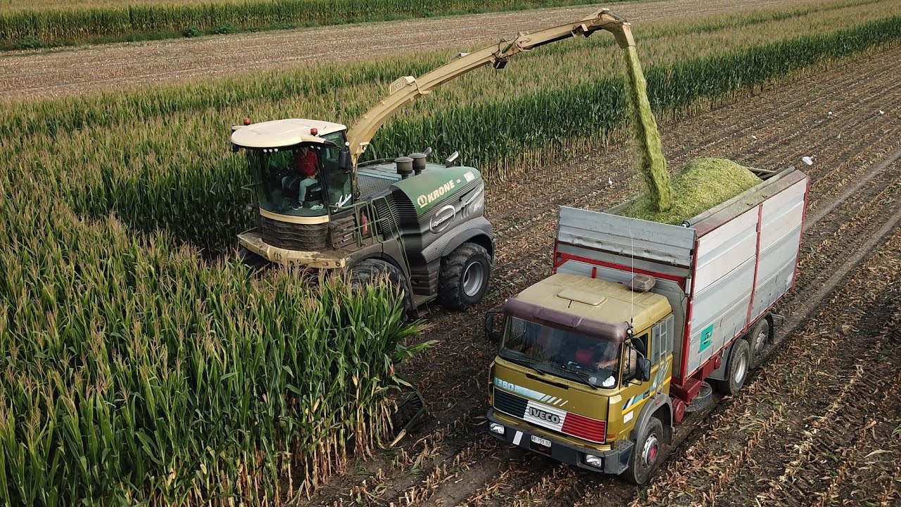 Krone Big X1180 | Trinciato mais 2025 | Rosina
