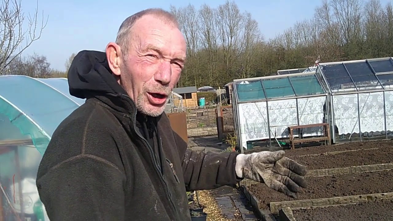 Uk Allotment ~ Dig For Victory!! 1