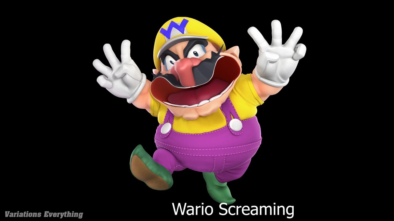 15 Wario 