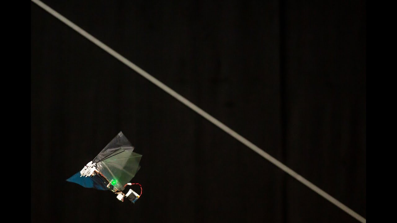 DelFly Nimble - an agile insect-inspired robot