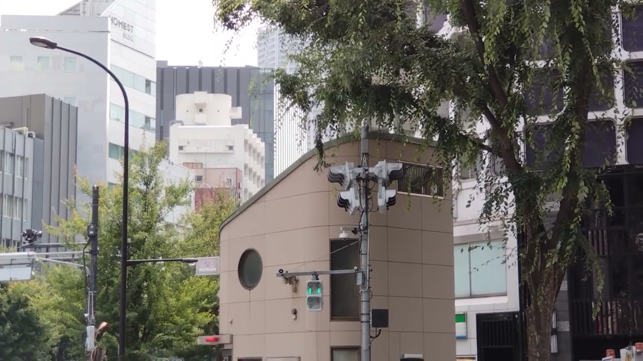 新宿区「新宿五丁目東」　故郷の空→通りゃんせ♪ #信号機
