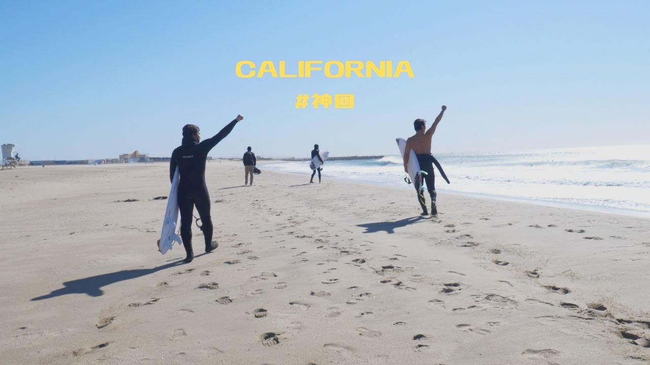 【神回】Ci teamでのセッション完全わからされました。デーンレイノルズカッコよすぎ