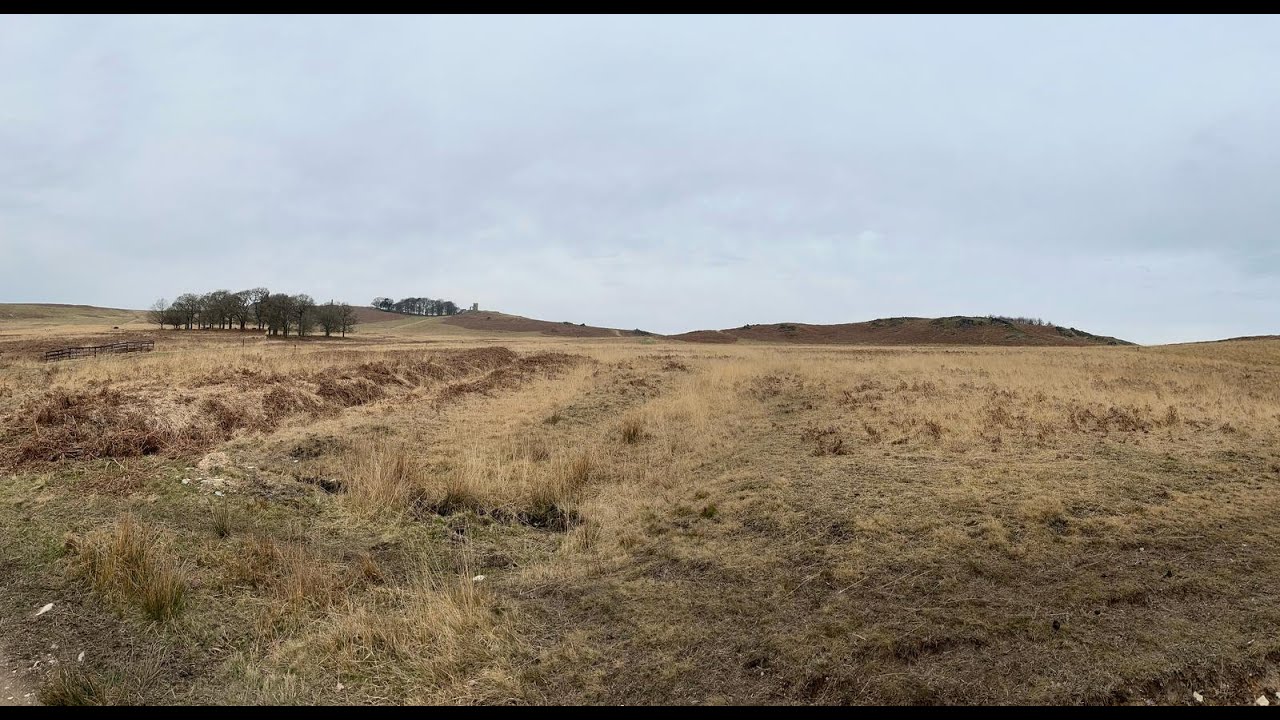 Bradgate Park 2025 Potensic ATOM