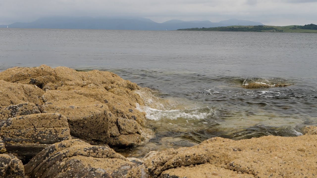Gentle Shore Waves on Rocks | Calm Sea Sounds for Deep Sleep & Relaxation