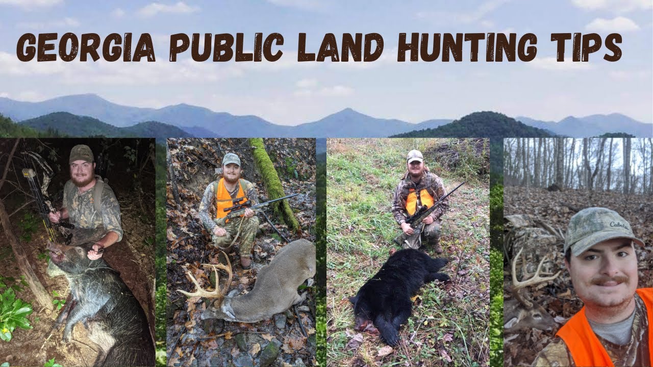 Georgia Public Land Mountain Buck Hunting Tips For Success