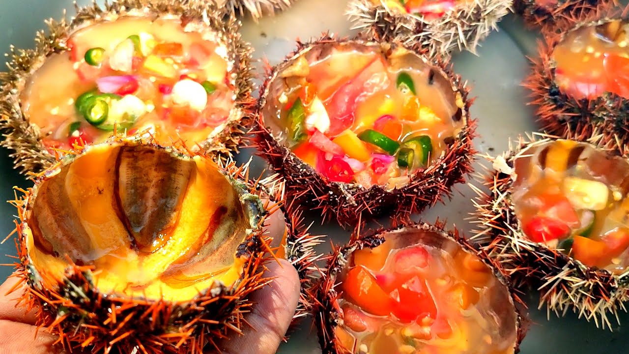 Catch & Cook! Seafood Mahal makanan anak Pulau Terpencil, seafood Sea Urchin - bulu babi