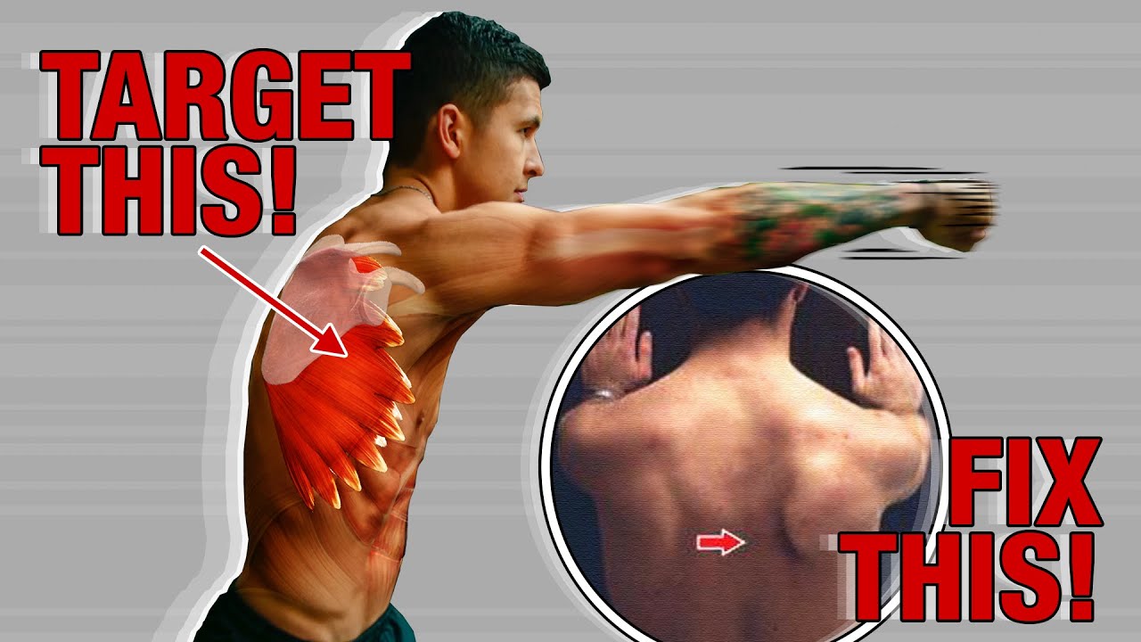 How To “Sculpt” Your Serratus Anterior (STOP Neglecting This Muscle!)