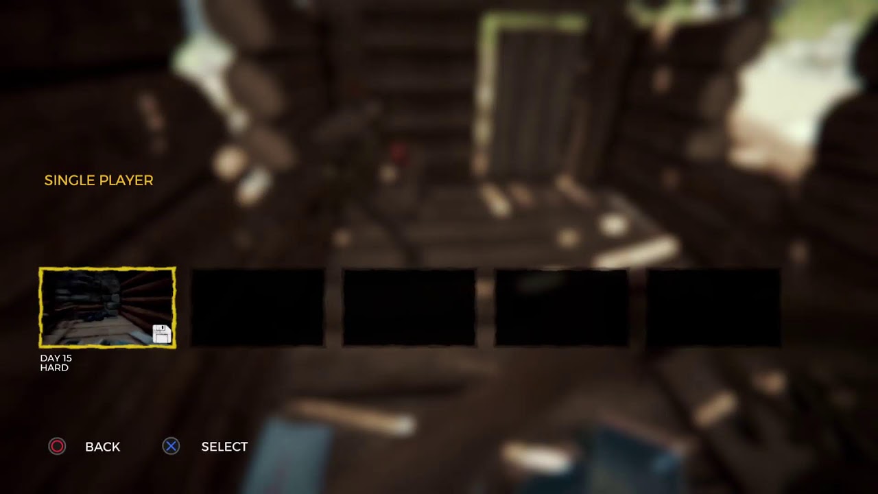 The Forest. Single player. New to game.