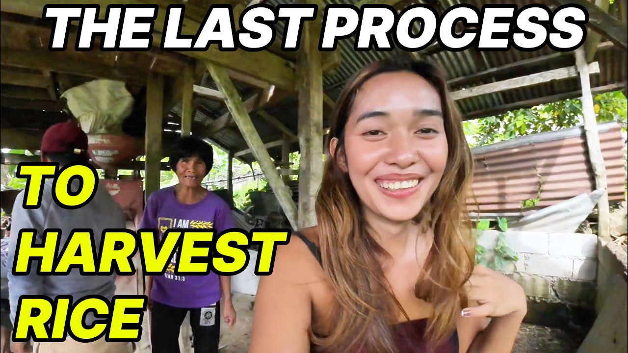 🇵🇭 Rhea And Papa Completing The Last Step Of Rice Harvest- Milling