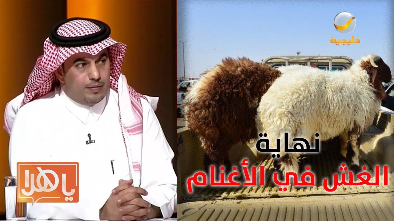 قرار سينهي التستر والغش في سوق الأغنام.. التفاصيل في ياهلا