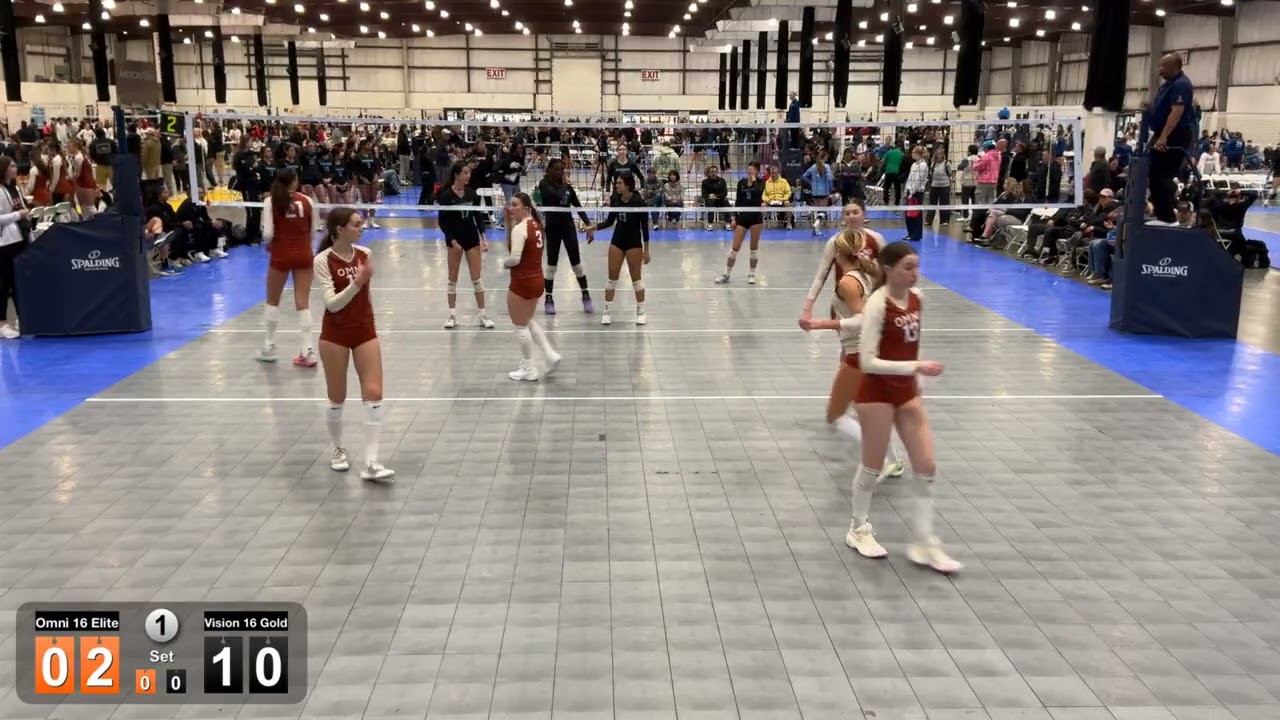 Omni 16 Elite vs Vision 16 Gold 3-8-2026