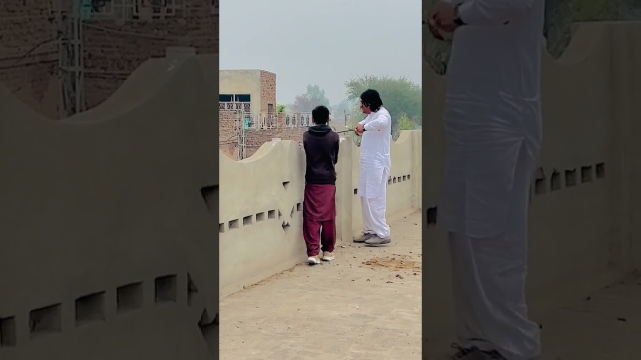 How to make pigeon racing#youtubeshorts#viralvideo#racingbirds#pigeon#pigeonshorts#pigeonviral