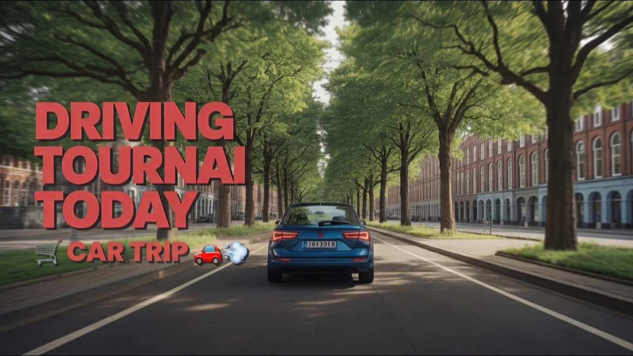 🛒 Car trip to Colruyt & Lidl! 🚗💨 Grabbin’ deals & food! 🥦🥩✨ Let's go shopping! 🛍️🥳