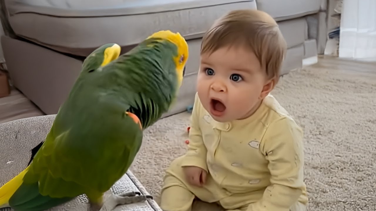 The Funniest Argument Ever Between a Hilarious Baby and a Talking Parrot! 🤪