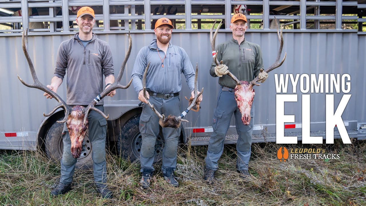 3 Bull Elk in ONE Hunt | Backcountry Reset 