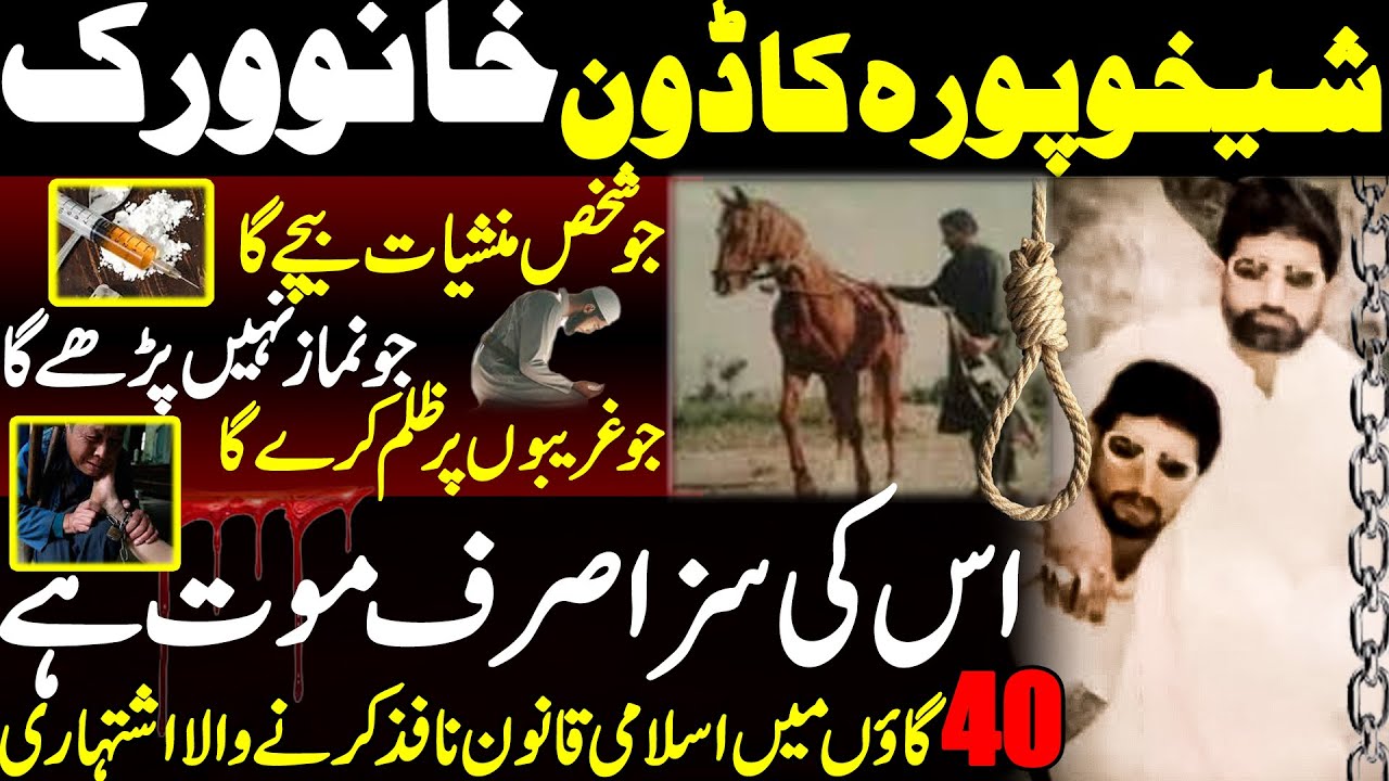 Shaikhupura Don Khanu Varik || Khanu Virk Shaikhupura Don || Ali Raza Shirazi || Shaan Pakistan