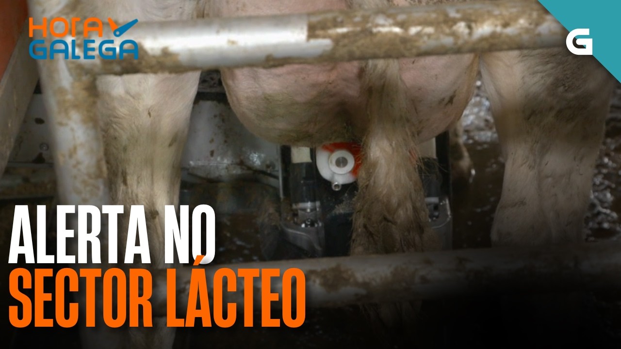 ALERTA no sector LÁCTEO | HORA GALEGA