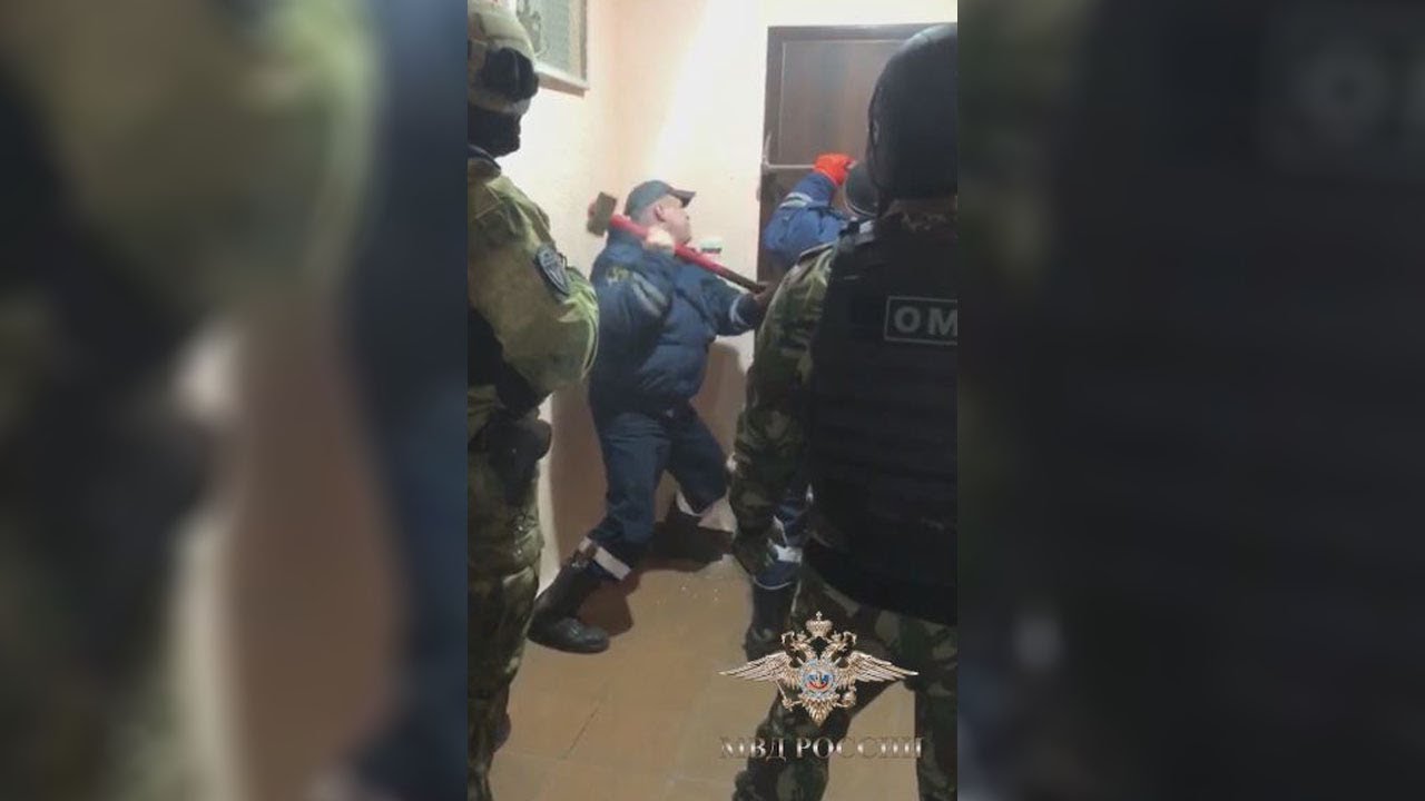 Подпольный табачный синдикат с 2 млн контрафактных сигарет работал в Подмосковье