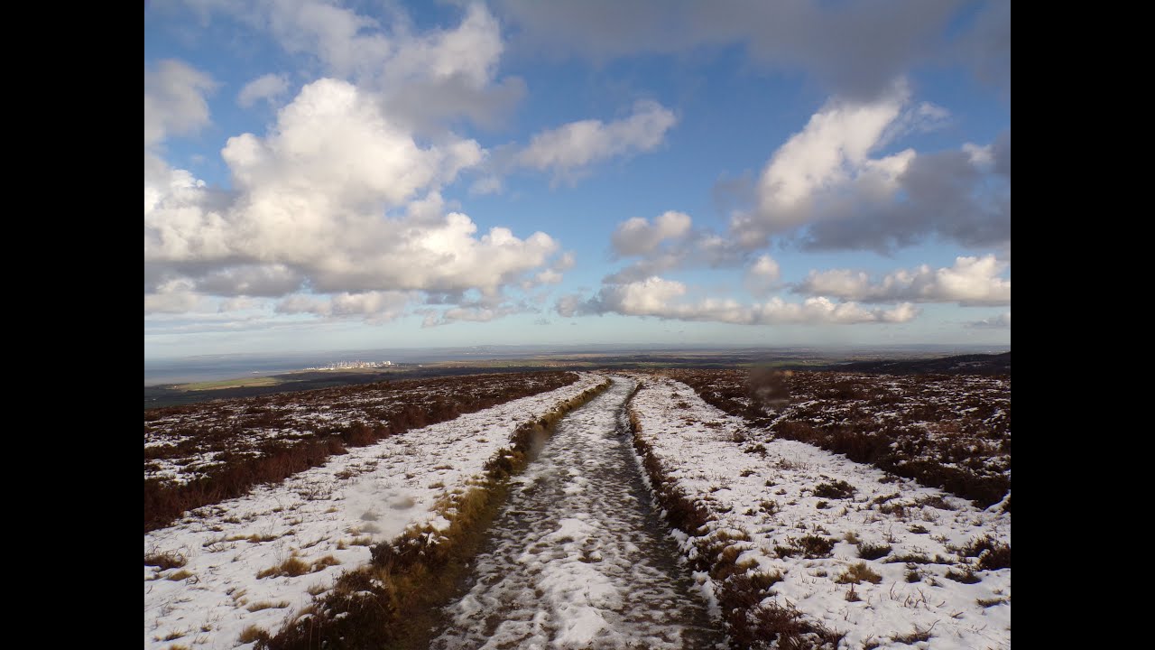 A Rare Walk In The Snow On the Quantock Hills, Part V,' Alfoxden Park' by Sheila, Jamuary 9th 2025