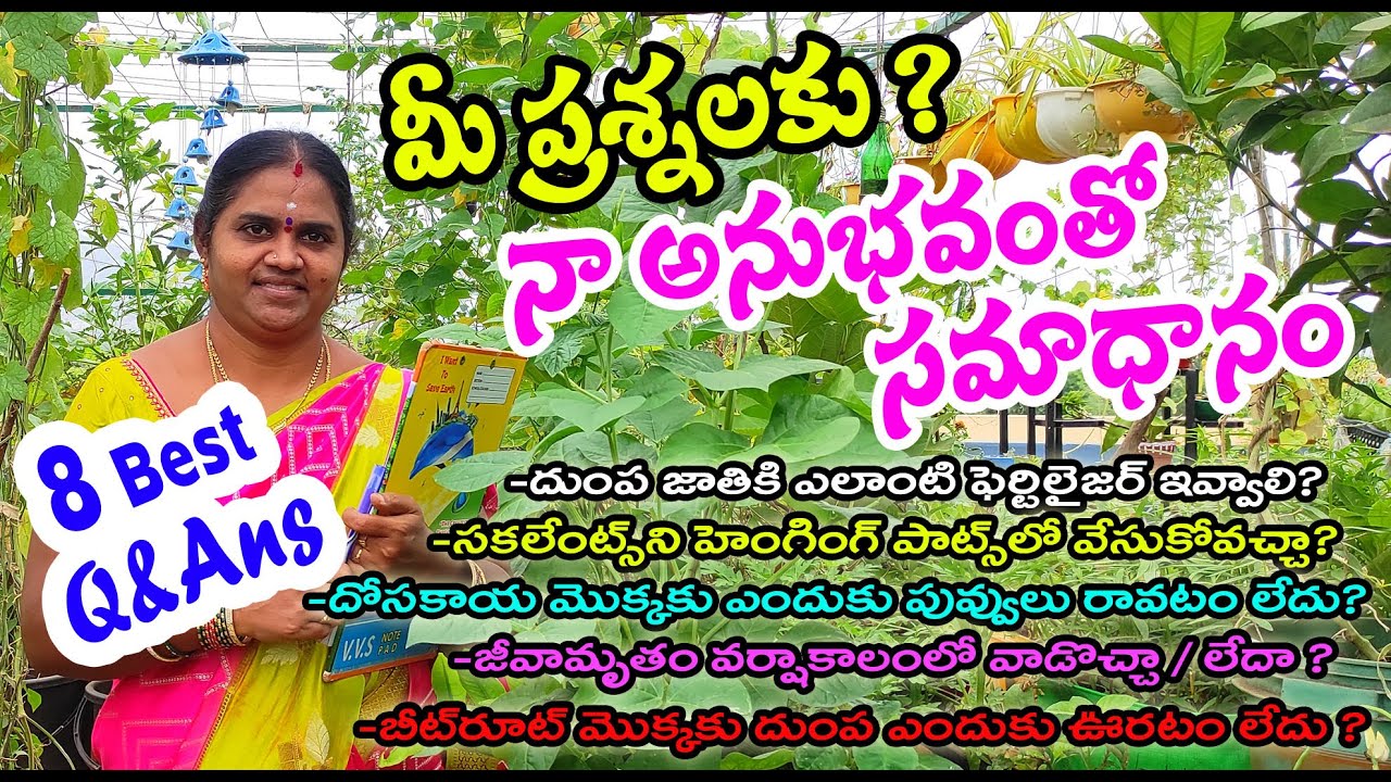 మీ ప్రశ్నలకు నా సమాధానం | Terrace Garden Tips & Guide In Telugu | ACH Gardening Vlogs #GardeningTips