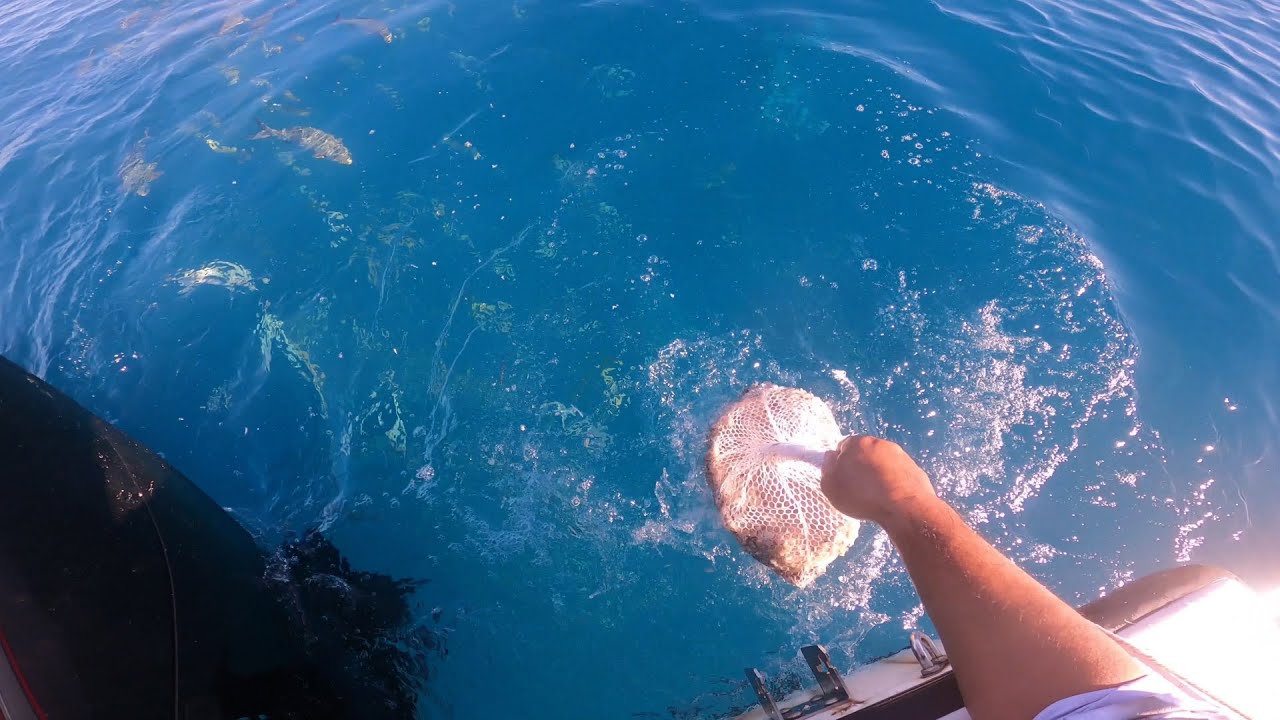 Chumming 101: #3 Chum Net Flow Rates