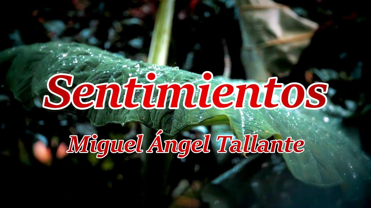 SENTIMIENTOS - Miguel Ángel Tallante