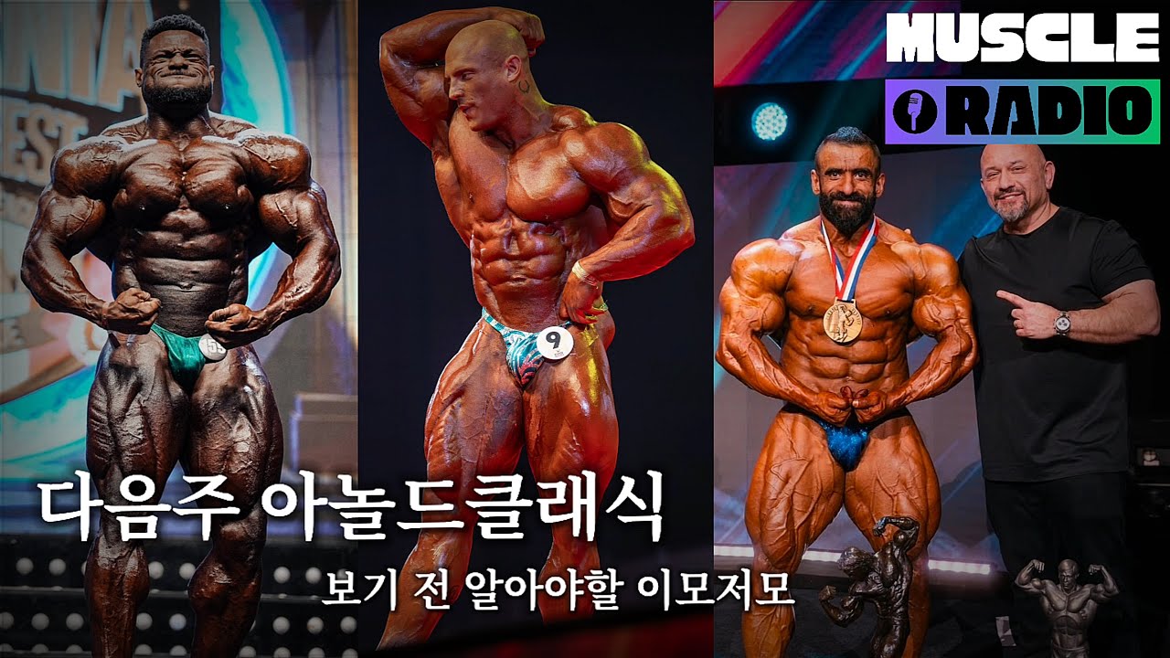 생각보다 심각한 하디추판 현상황, 마틴의 미디어 보이콧 | LIVE Ep 43