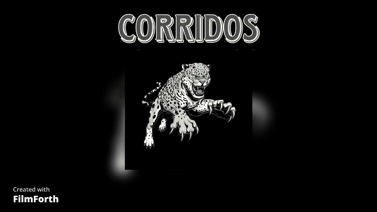 Los Mejores Corridos Mix