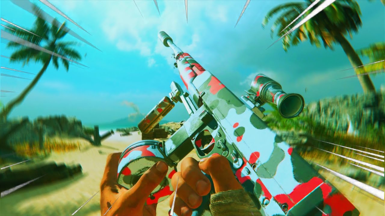 the BEST AR in Warzone Pacific