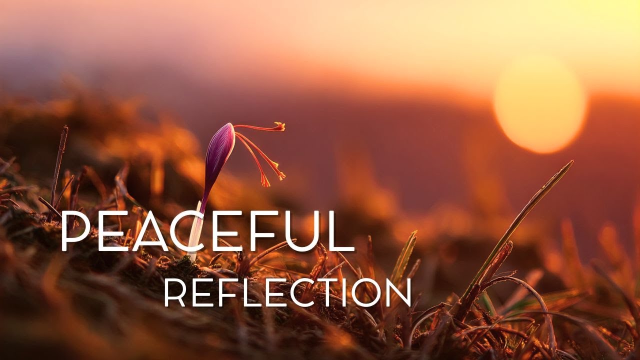 Eternal Grace -  Relaxing Worship | Soothing Instrumentals for Deep Devotion & Peaceful Reflection