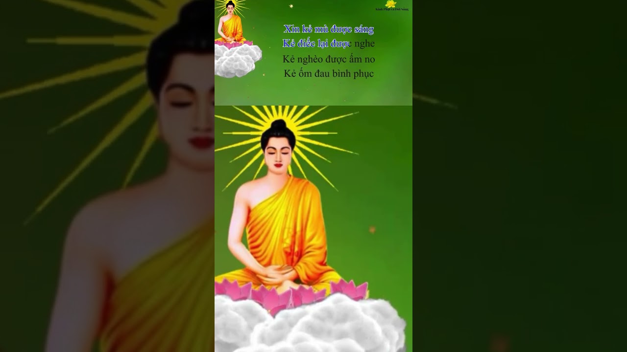 Lời khấn nguyện #phatphap #buddha #kinhphat #niemphat #loiphatday #shorts