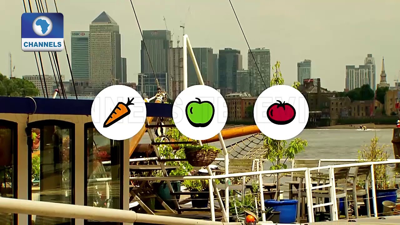 Importance Of Green Spaces In Cities |Eco@Africa|