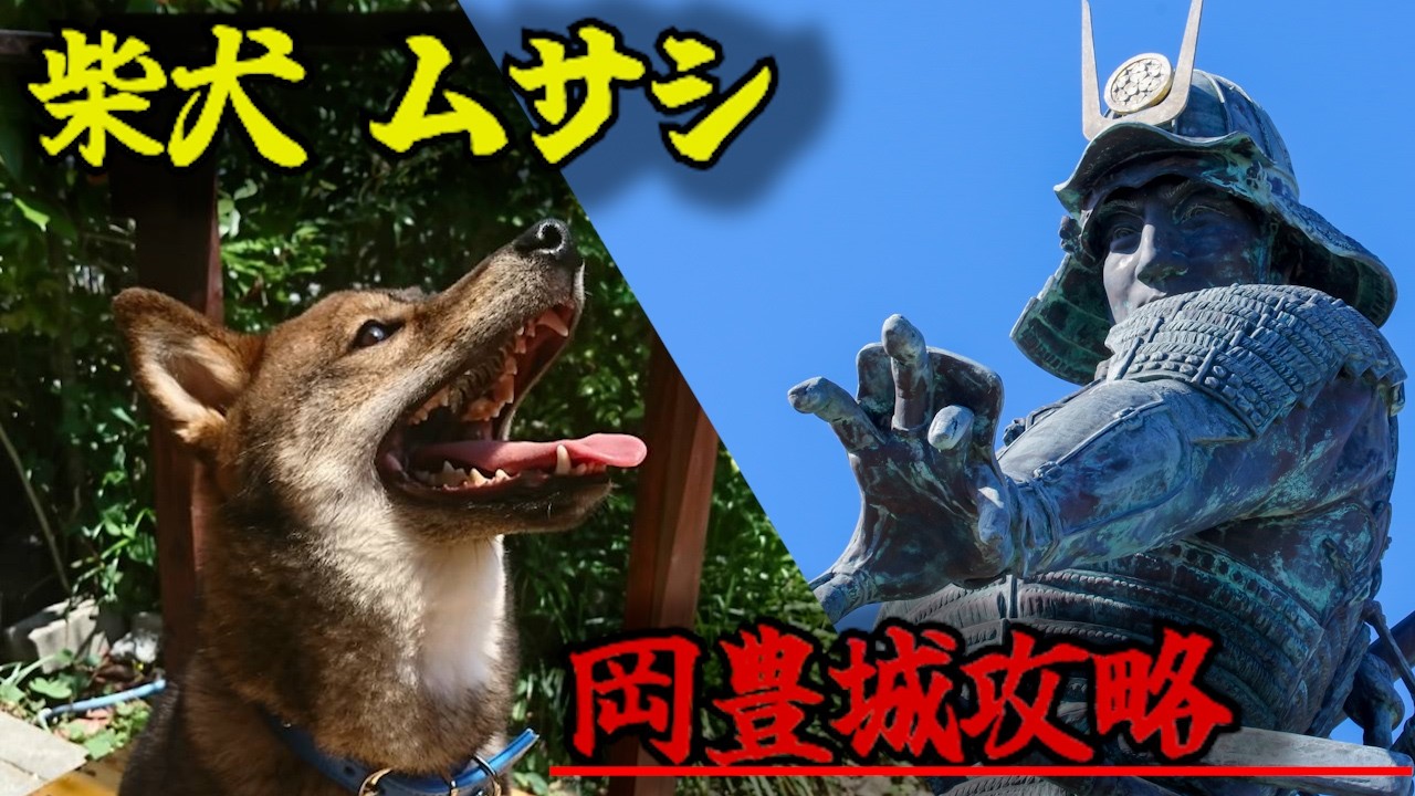 愛犬ムサシ登場！岡豊城跡散歩