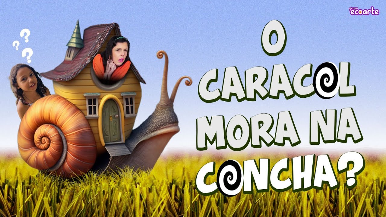 Curiosidades sobre os caracóis e as conchas